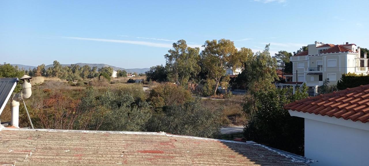 Néa Mákri Elizas House 빌라 외부 사진